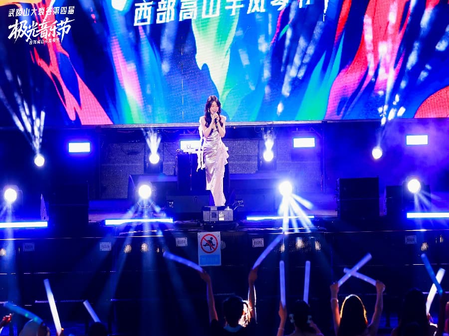 音樂(lè)節(jié)策劃公司 (14)