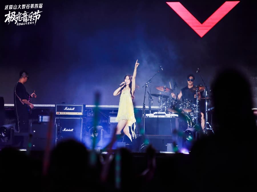 音樂(lè)節(jié)策劃公司 (23)